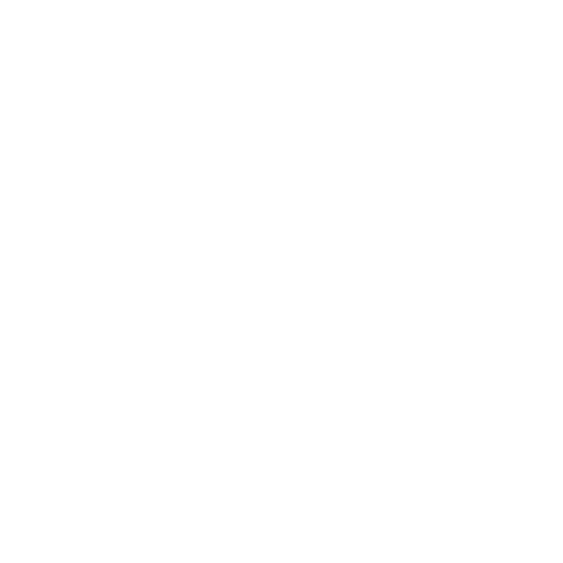 CV icon